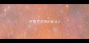 给狗打疫苗的地方