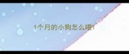 1个月的小狗怎么喂