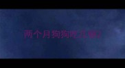 两个月狗狗吃几顿