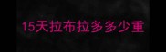 15天拉布拉多多少重