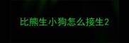 比熊生小狗怎么接生