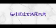 猫咪呕吐发烧尿失禁