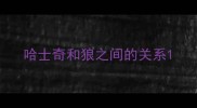 哈士奇和狼之间的关系