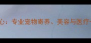 咔咔宠物护理中心专业宠物寄养美容与医疗一站式服务指南