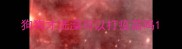 狗狗才洗澡可以打疫苗吗