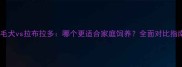 金毛犬vs拉布拉多哪个更适合家庭饲养全面对比指南