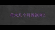 母犬几个月做绝育