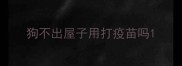 狗不出屋子用打疫苗吗