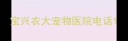 宝兴农大宠物医院电话