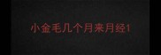小金毛几个月来月经