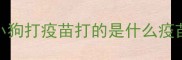 小狗打疫苗打的是什么疫苗
