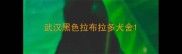 武汉黑色拉布拉多犬舍