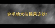 金毛幼犬拉稀果冻状
