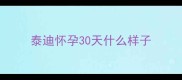 泰迪怀孕30天什么样子