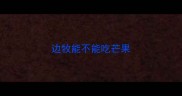 边牧能不能吃芒果