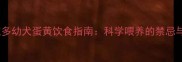 拉布拉多幼犬蛋黄饮食指南科学喂养的禁忌与营养