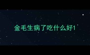 金毛生病了吃什么好