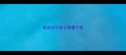 秋田犬与哈士奇哪个贵