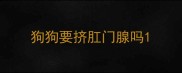 狗狗要挤肛门腺吗