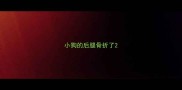小狗的后腿骨折了