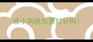 被小狗抓伤要打针吗