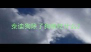 泰迪狗除了狗粮吃什么