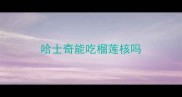 哈士奇能吃榴莲核吗