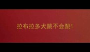 拉布拉多犬跳不会跳
