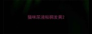 猫咪尿液粘稠发黄