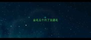 金毛五个月了没退毛