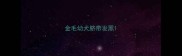 金毛幼犬脐带发黑