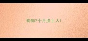 狗狗7个月换主人