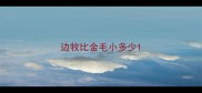 边牧比金毛小多少