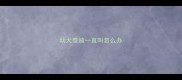 幼犬泰迪一直叫怎么办