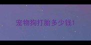 宠物狗打胎多少钱