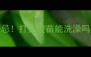 宠物疫苗后洗澡禁忌打完疫苗能洗澡吗附正确护理指南