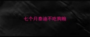 七个月泰迪不吃狗粮