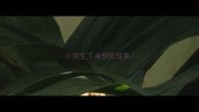小狗生下来假死现象