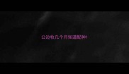 公边牧几个月知道配种