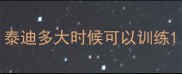 泰迪多大时候可以训练