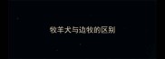 牧羊犬与边牧的区别
