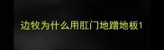 边牧为什么用肛门地蹭地板