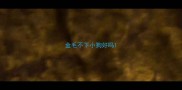 金毛不下小狗好吗