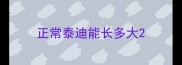 正常泰迪能长多大