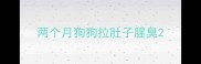 两个月狗狗拉肚子腥臭