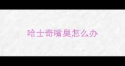 哈士奇嘴臭怎么办