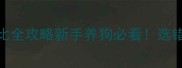 萨摩耶VS拉布拉多对比全攻略新手养狗必看选错犬种可能后悔一辈子