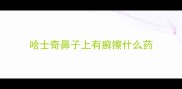 哈士奇鼻子上有癣擦什么药
