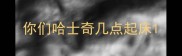 你们哈士奇几点起床
