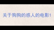 关于狗狗的感人的电影